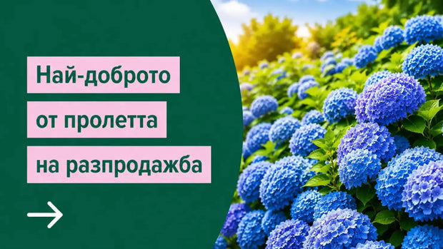 Banner image for: 