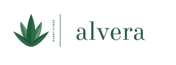 ALVERA.COM
