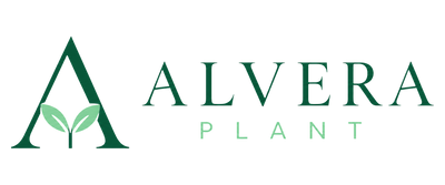 Alvera Plant