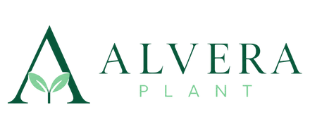 Alvera Plant