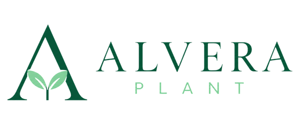 Alvera Plant